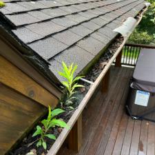 Blowing rock gutters (1)